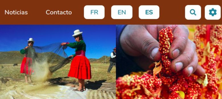 image international.jpeg (0.1MB)