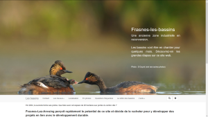 FrasnesLesBassins_capture-d-ecran-2017-12-20-18.59.52.png