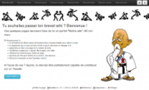 image wiki.png (94.3kB)