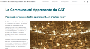 Communaute_apprenante_du_CAT1.png