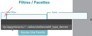YWDocBazarAffichage_formulaire_affichagechoix_facette
