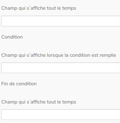 YWDocBazarQuestionConditionnelle_champ_affichage_conditionnel