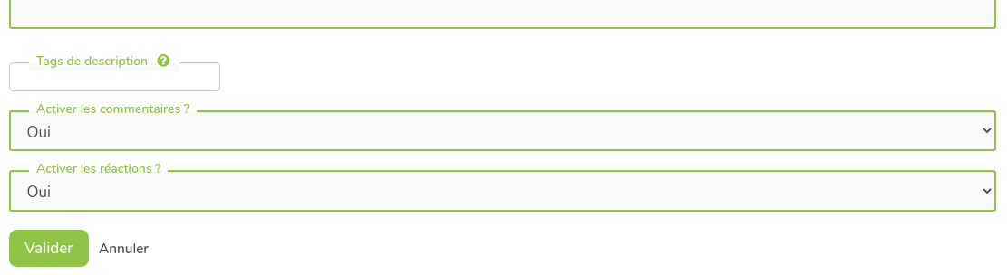 image saisie_fiche_activite2.png (16.3kB)